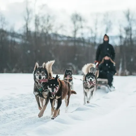 Holmen Husky Lodge