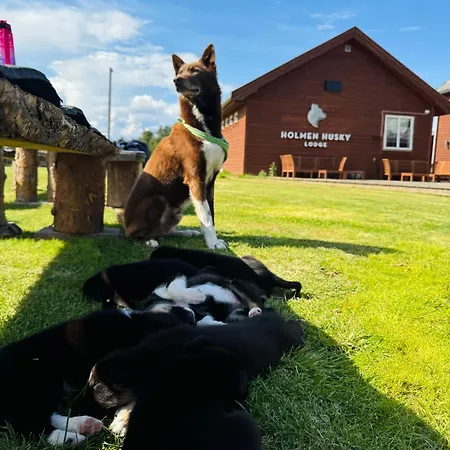 Lodge Holmen Husky Alta