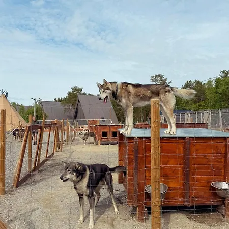 Holmen Husky Lodge *