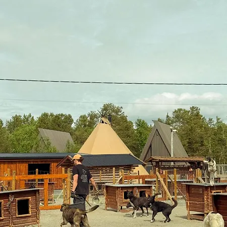 Lodge Holmen Husky Alta