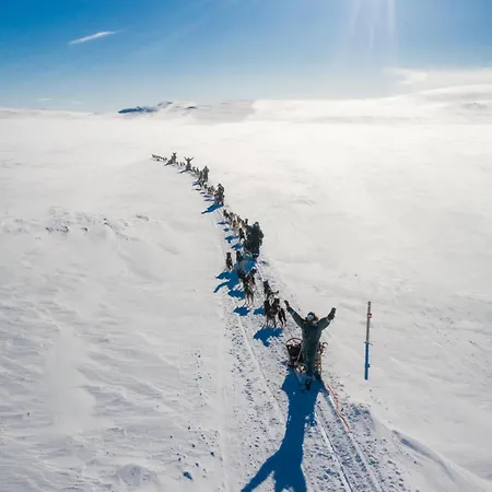Lodge Holmen Husky
