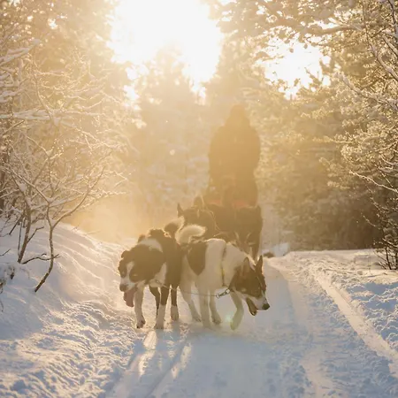 Hytte Holmen Husky *