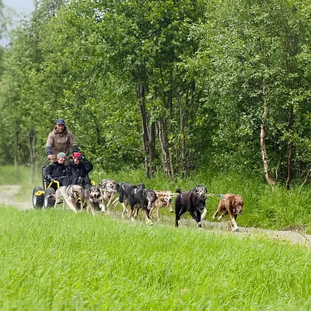 Lodge Holmen Husky Άλτα