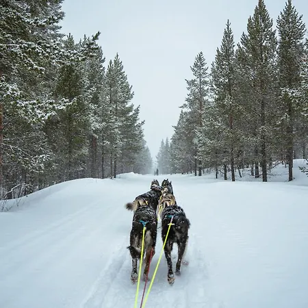 Lodge Forest Suites By Holmen Husky