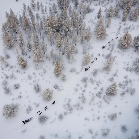 Lodge Forest Suites By Holmen Husky *