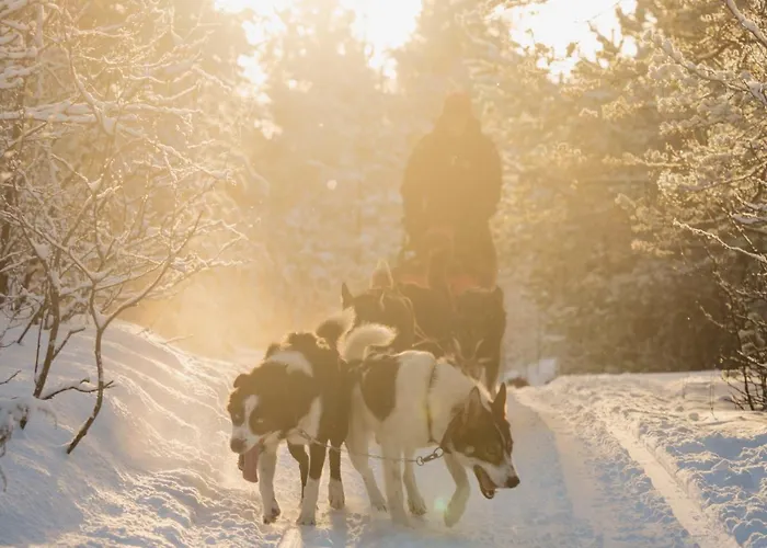 Lodge Holmen Husky *